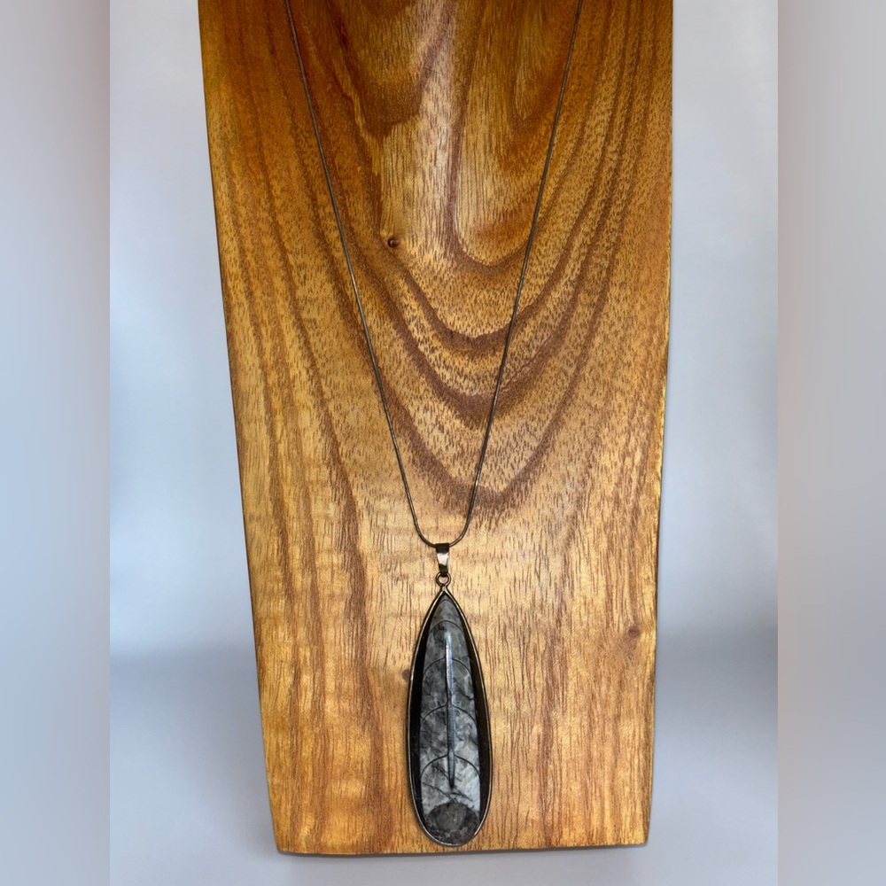 Oliver Lane & Co. Orthoceras Fossil Sterling Silver Necklace NWOT